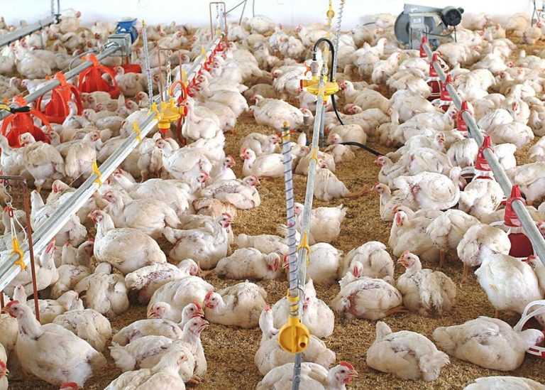 rtaepjc4ljaqbgg3qesiz3ahby